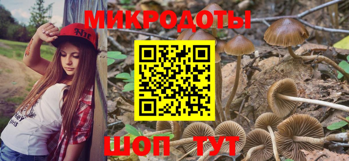 Керчь  Псилоцибиновые грибы Magic Shrooms  купить  сайты  Вход с VPN 